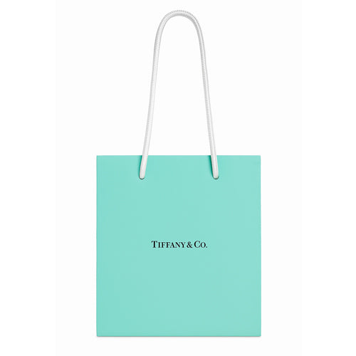 Tiffany & Co. Sterling Silver Love Bracelet – Las Vegas Edition