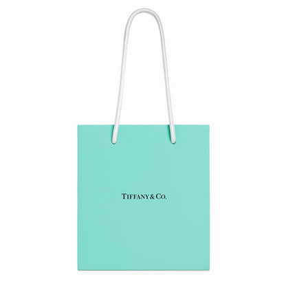 Tiffany & Co. Sterling Silver Love Bracelet – Las Vegas Edition